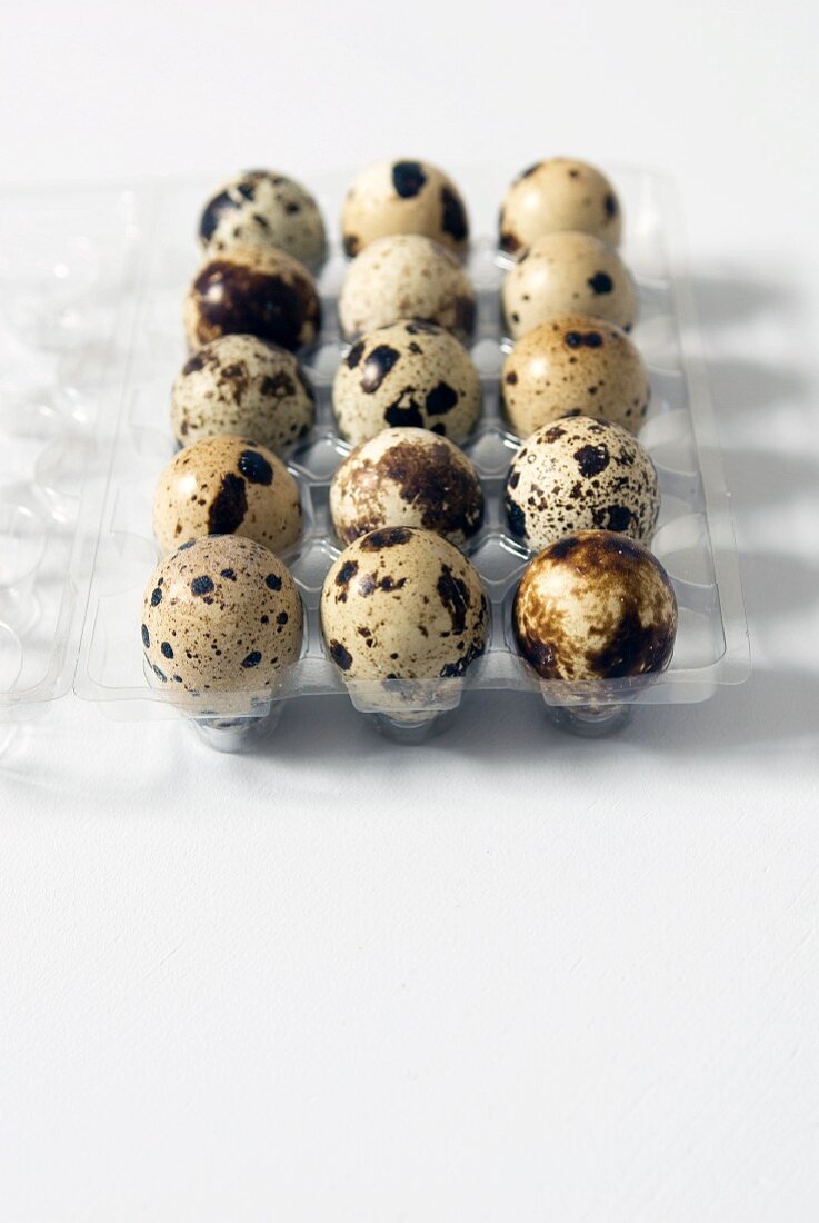Fifteen Fresh Quail Eggs in a Plastic Container