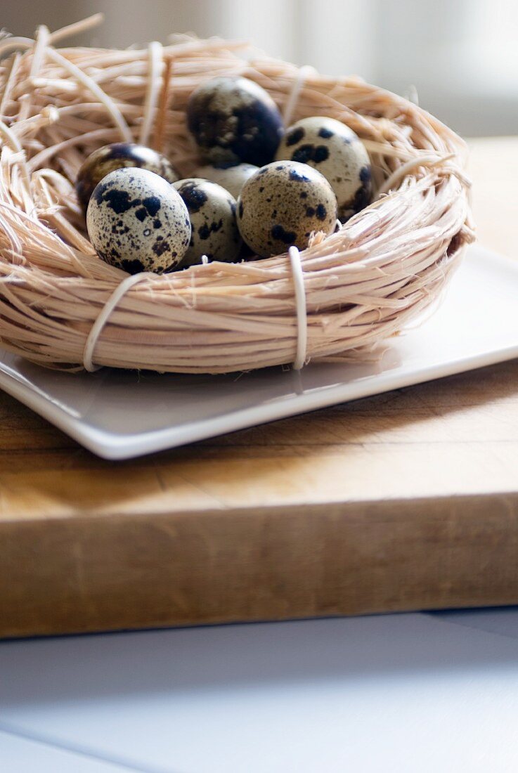 Nest of Quail Eggs