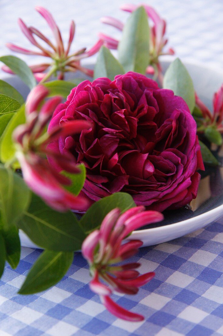 Bowl of flowers