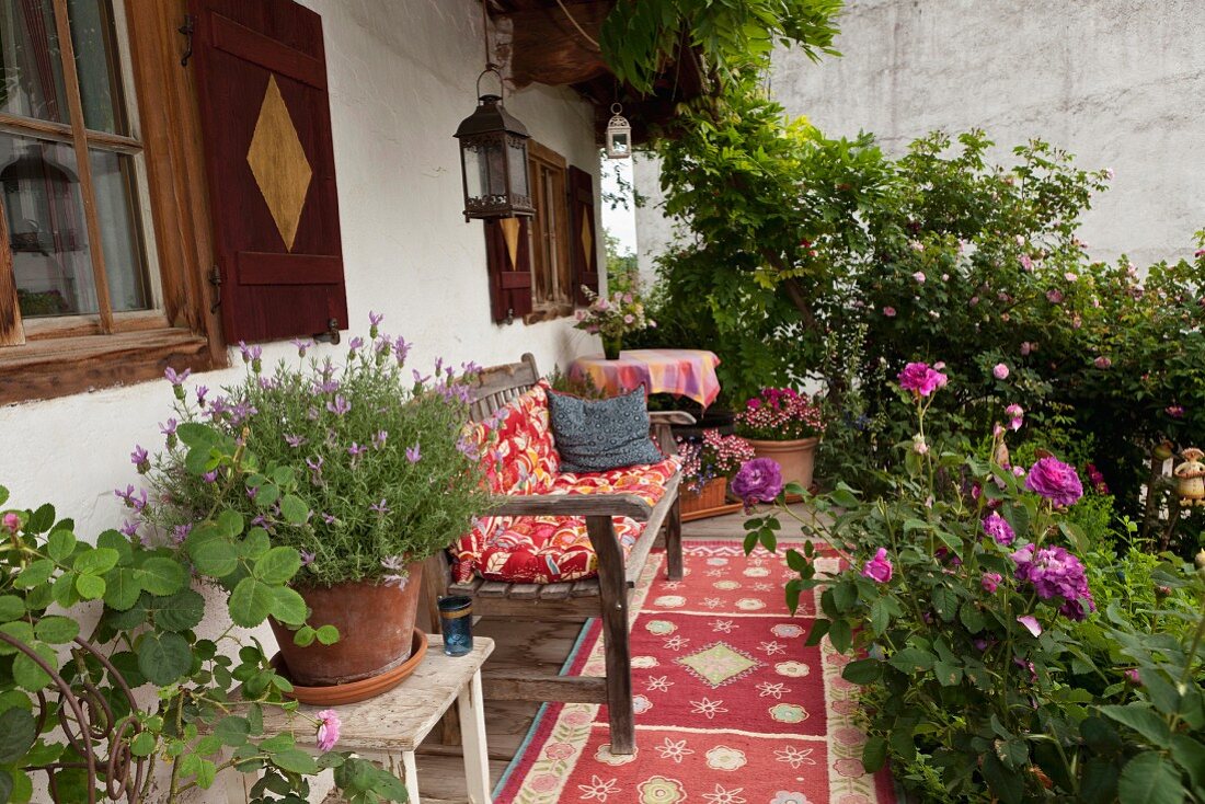 Wooden garden bench and pots of herbs and flowering plants on farmhouse veranda