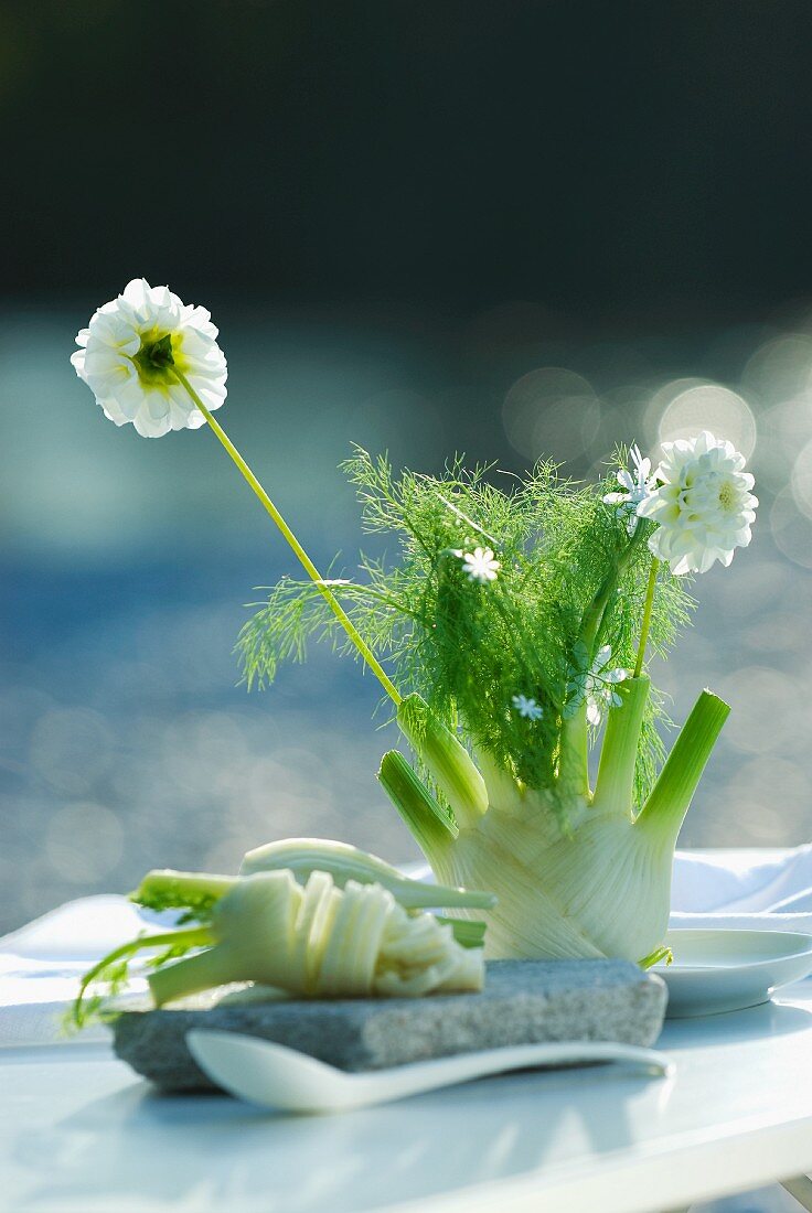 Table decoration for summer party on river bank: flowers stuck into fresh fennel bulb