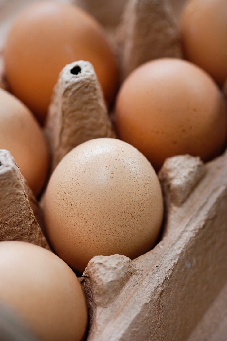 Braune Eier im Eierkarton (Nahaufnahme)