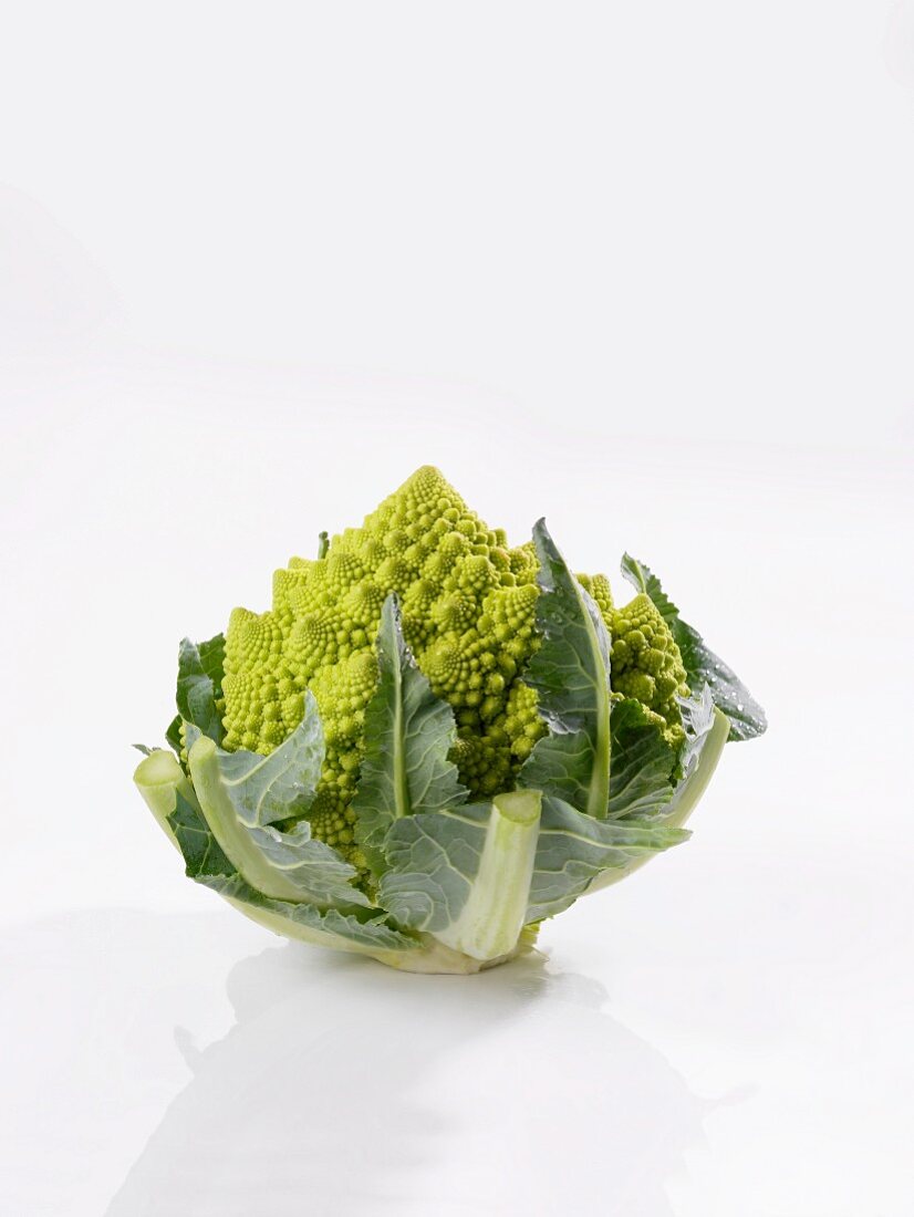A head of romanesco broccoli