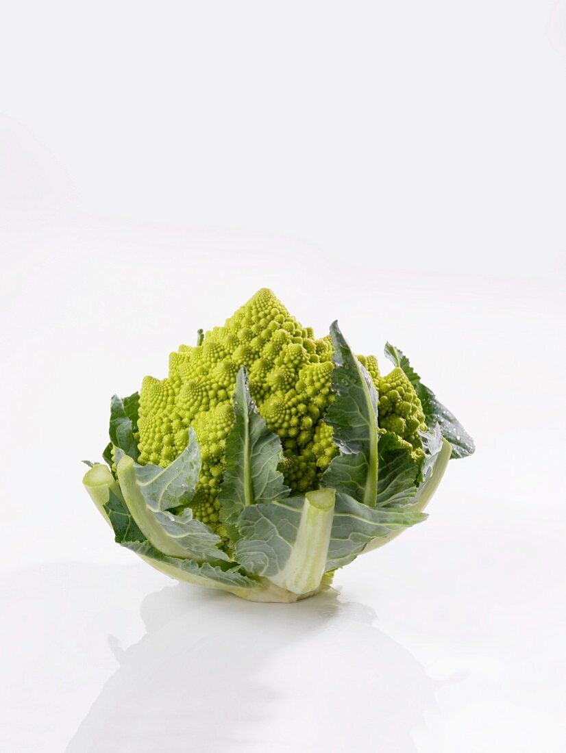 Ein Romanesco