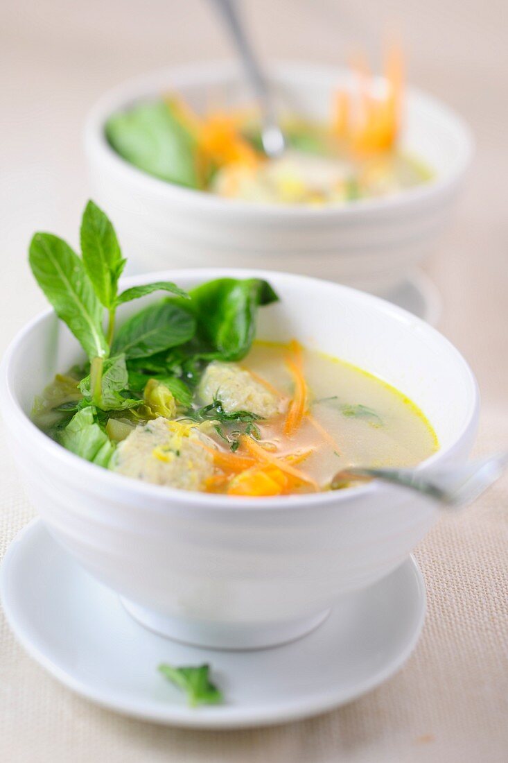 Vegetable soup with dumplings and mint
