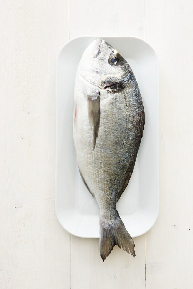 A fresh bream (seen from above)