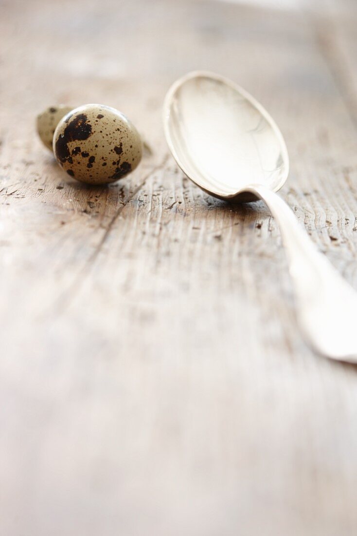 A quail's egg next to a silver spoon