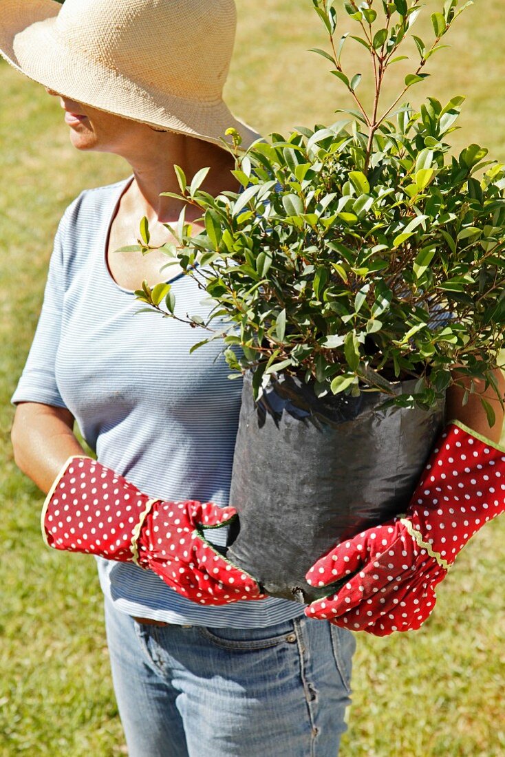 Woman carrying potted plant in garden