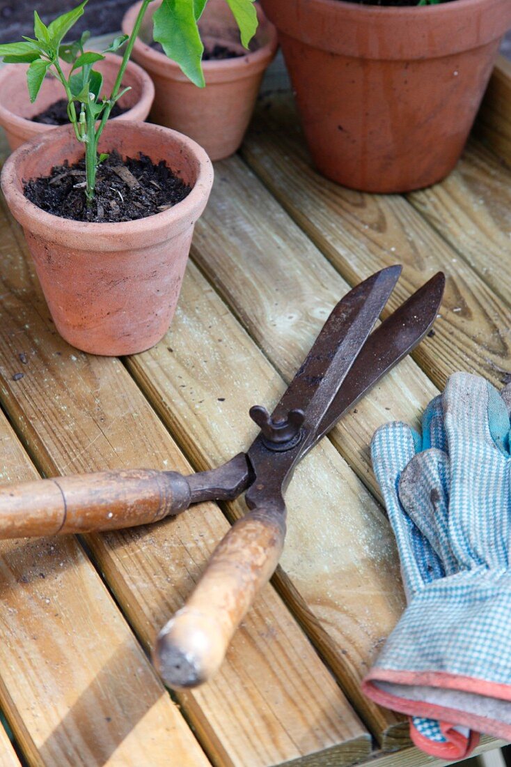 Gartenwerkzeug und Blumentöpfe auf Holztisch