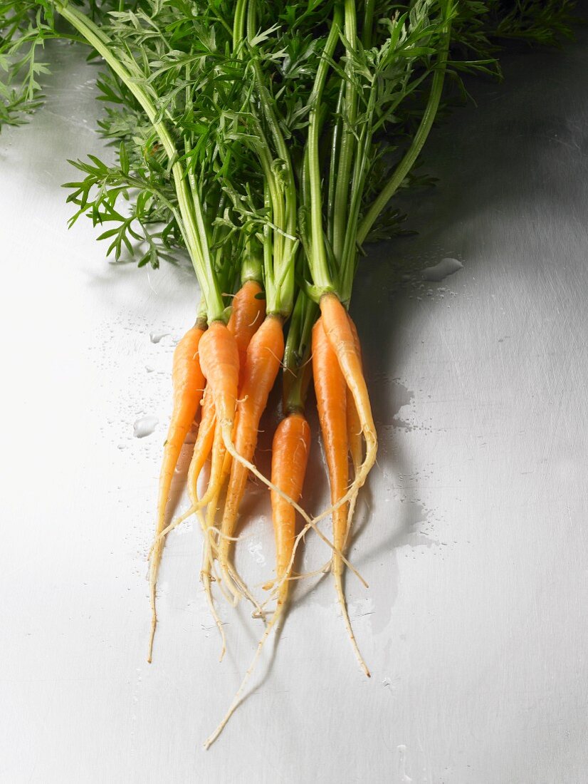 Fresh carrots