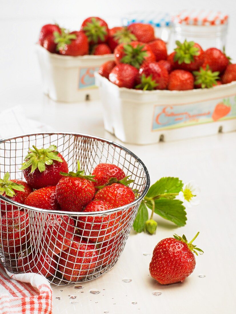 Frische Erdbeeren in einem Drahtkörbchen
