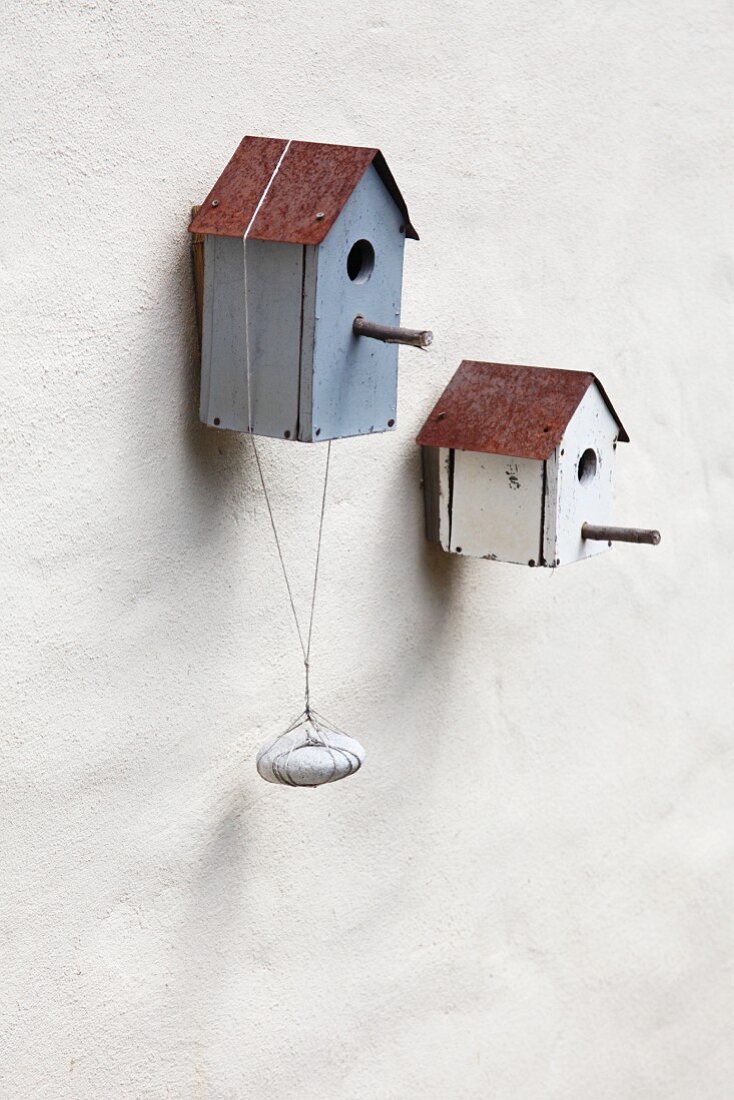 Nesting boxes attached to the wall of a house