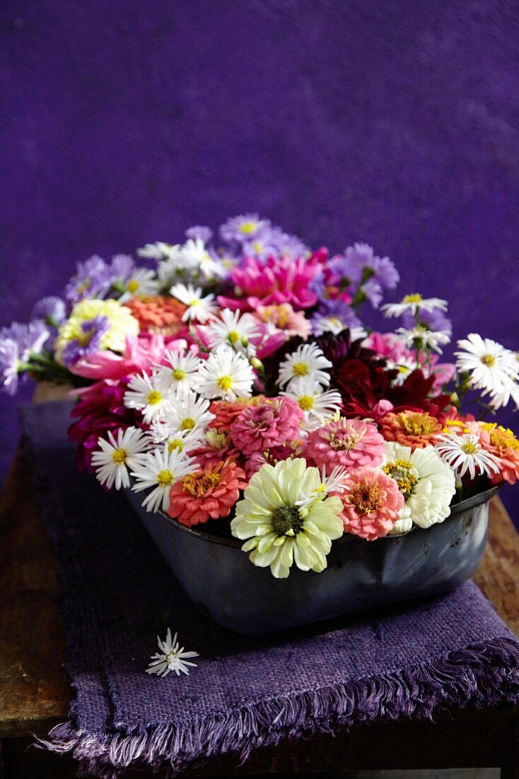 Short-stemmed, late summer garden flowers arranged in enamel dish on folded, fringed violet linen cloth