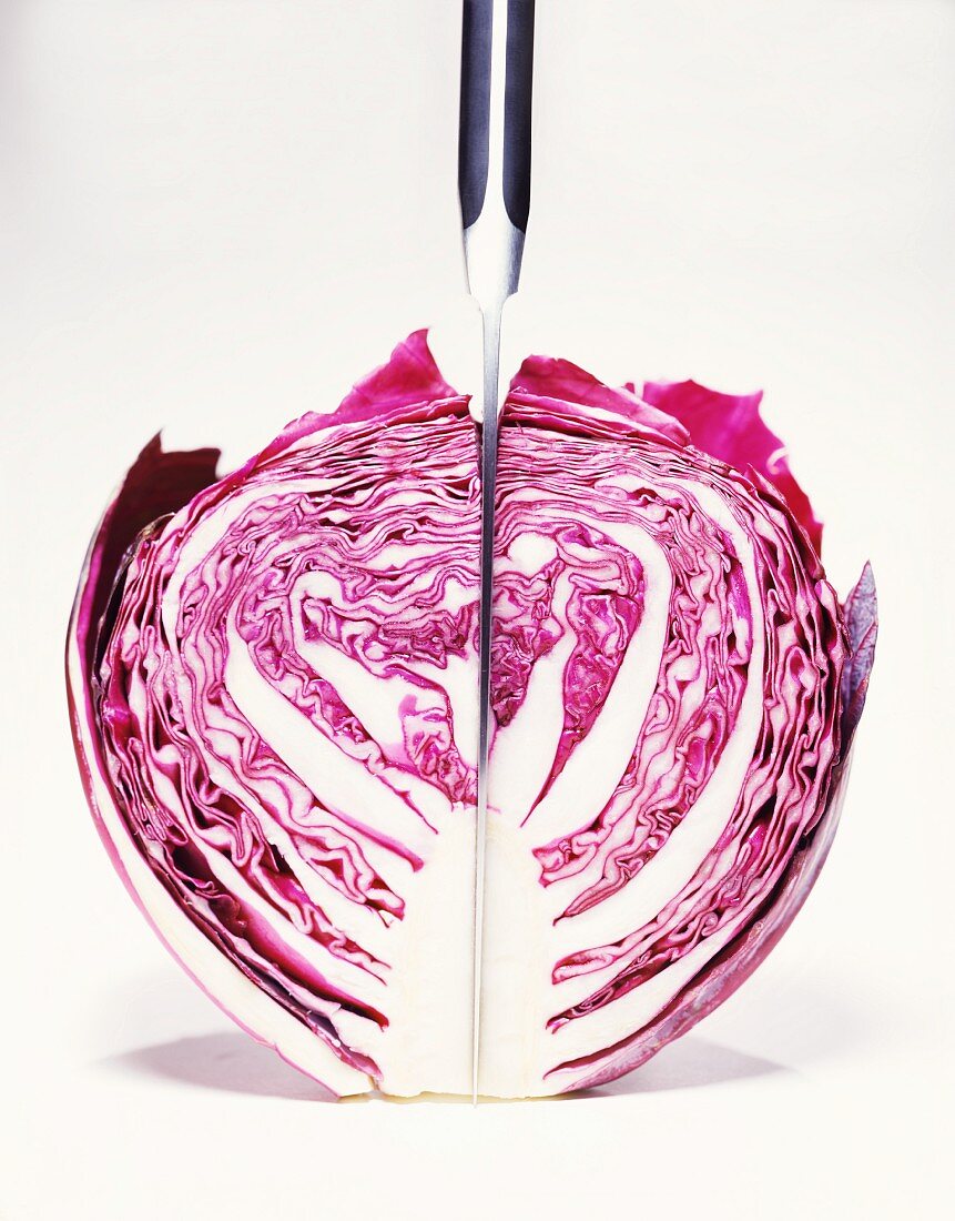 Rotkohl halbieren