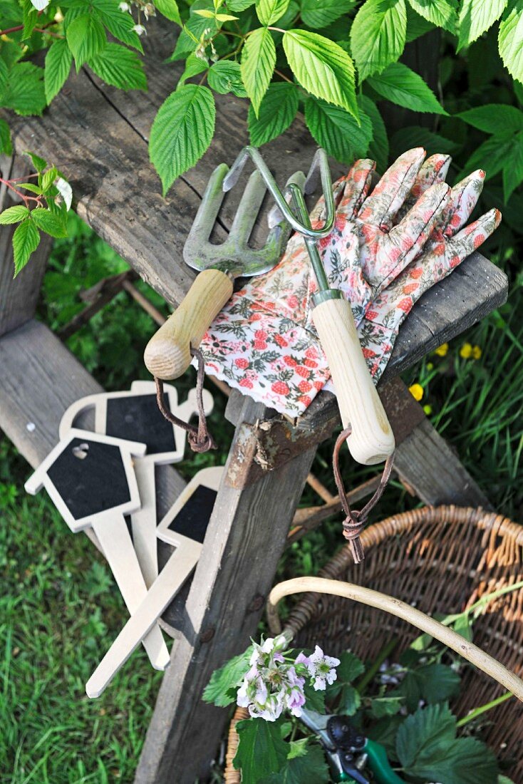 Gardening tools and work gloves on rustic wooden stool in garden