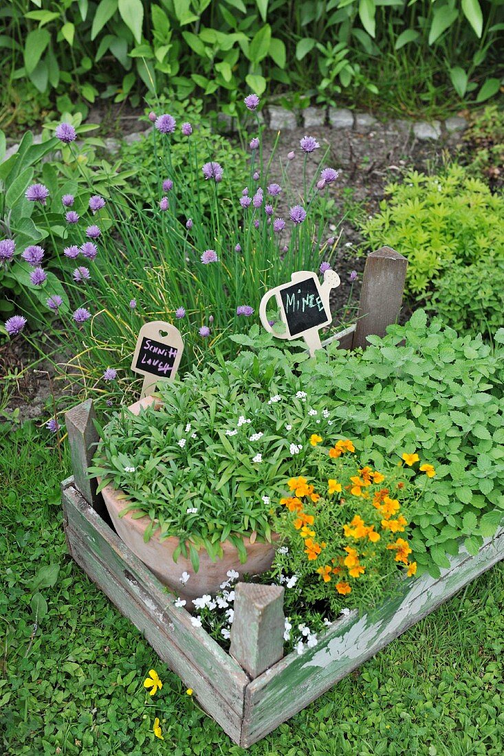 Plants in a wooden frame with signs