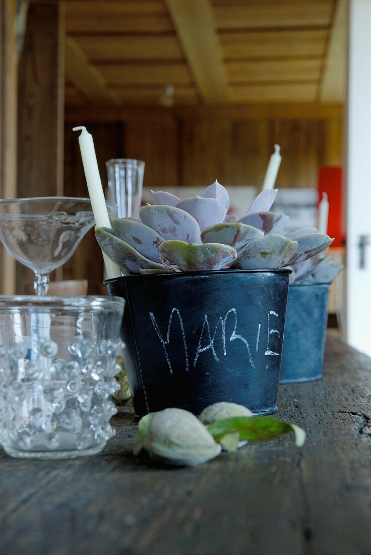 Labelled plant pots used as place cards