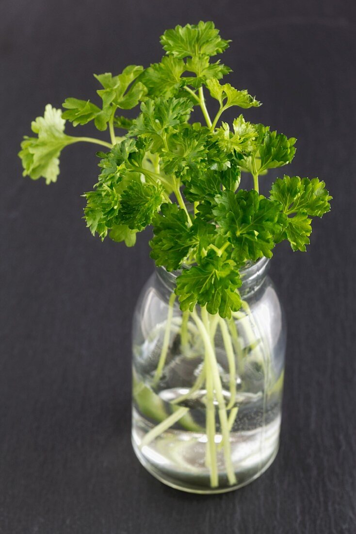 Fresh parsley in a bottle of water
