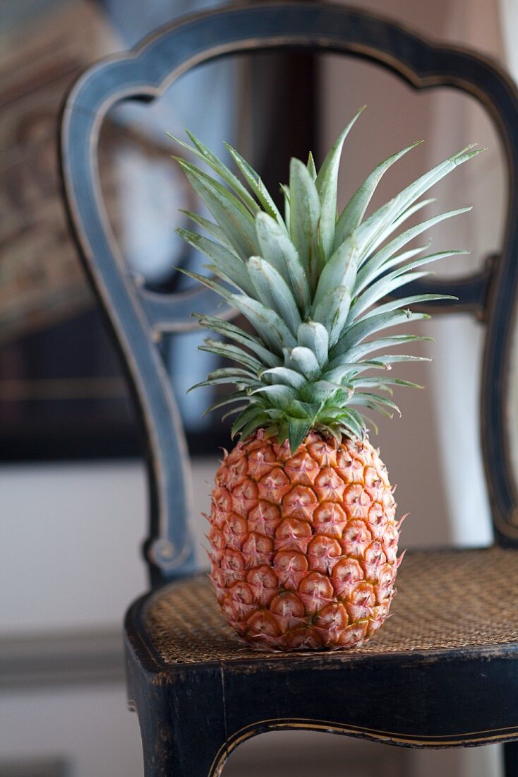 A Whole Pineapple on a Chair