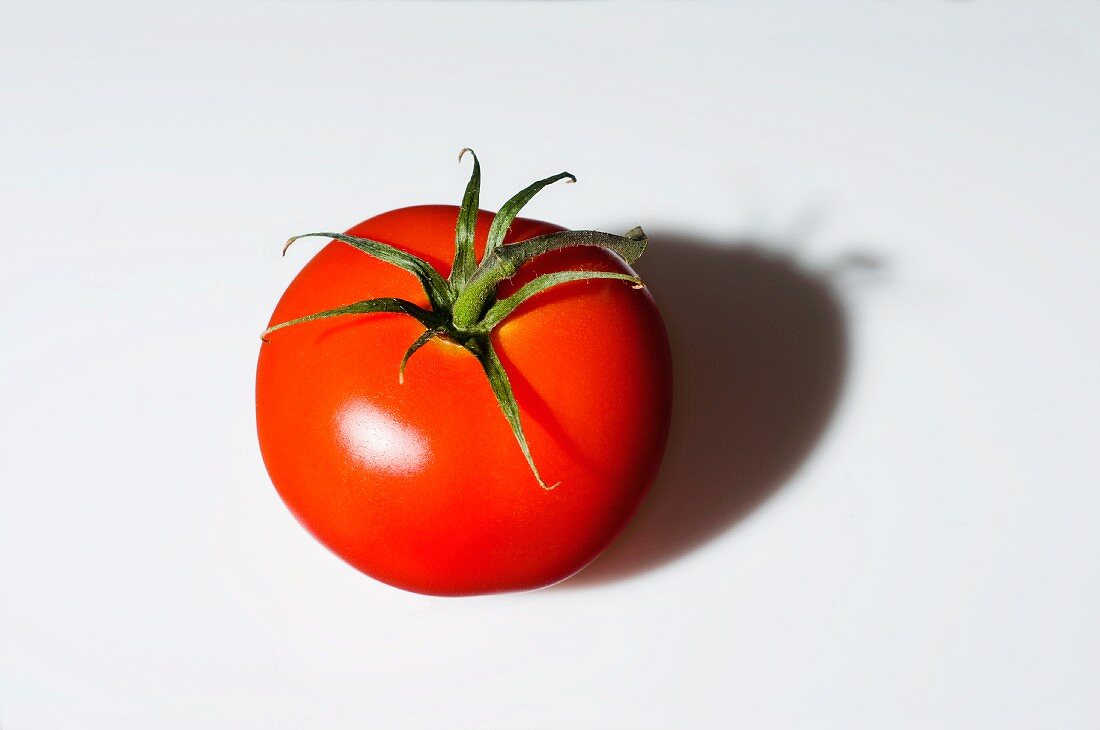 A tomato casting a shadow
