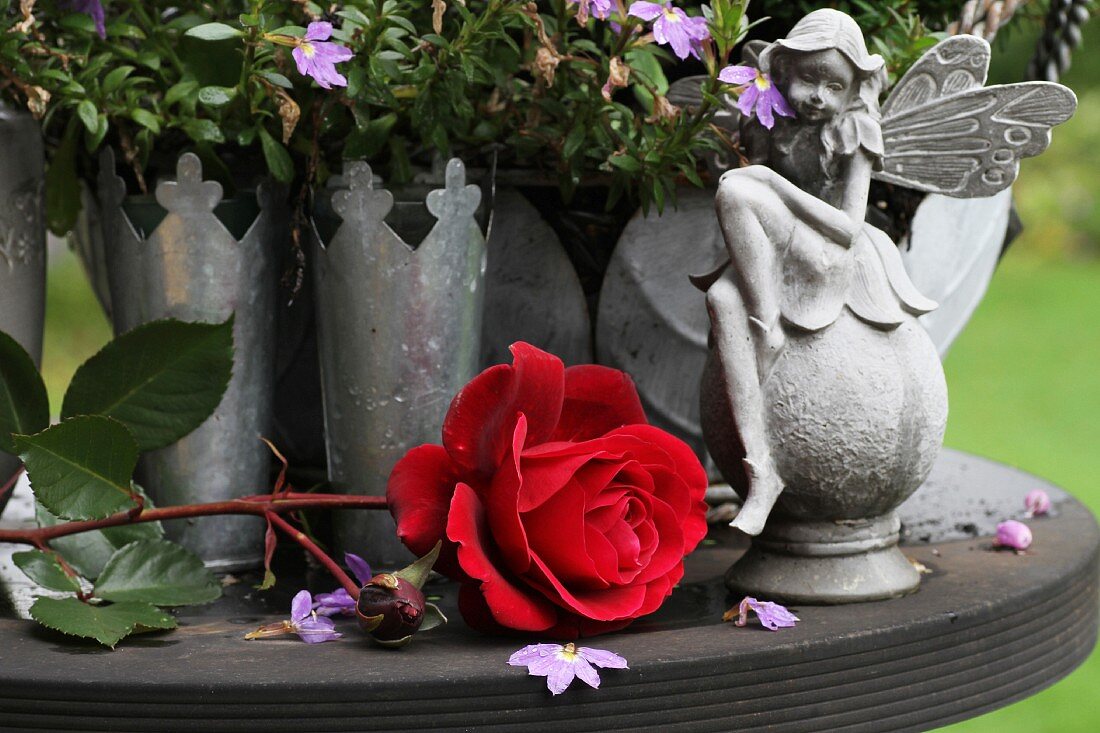 Red rose with fairy figurine and zinc vases