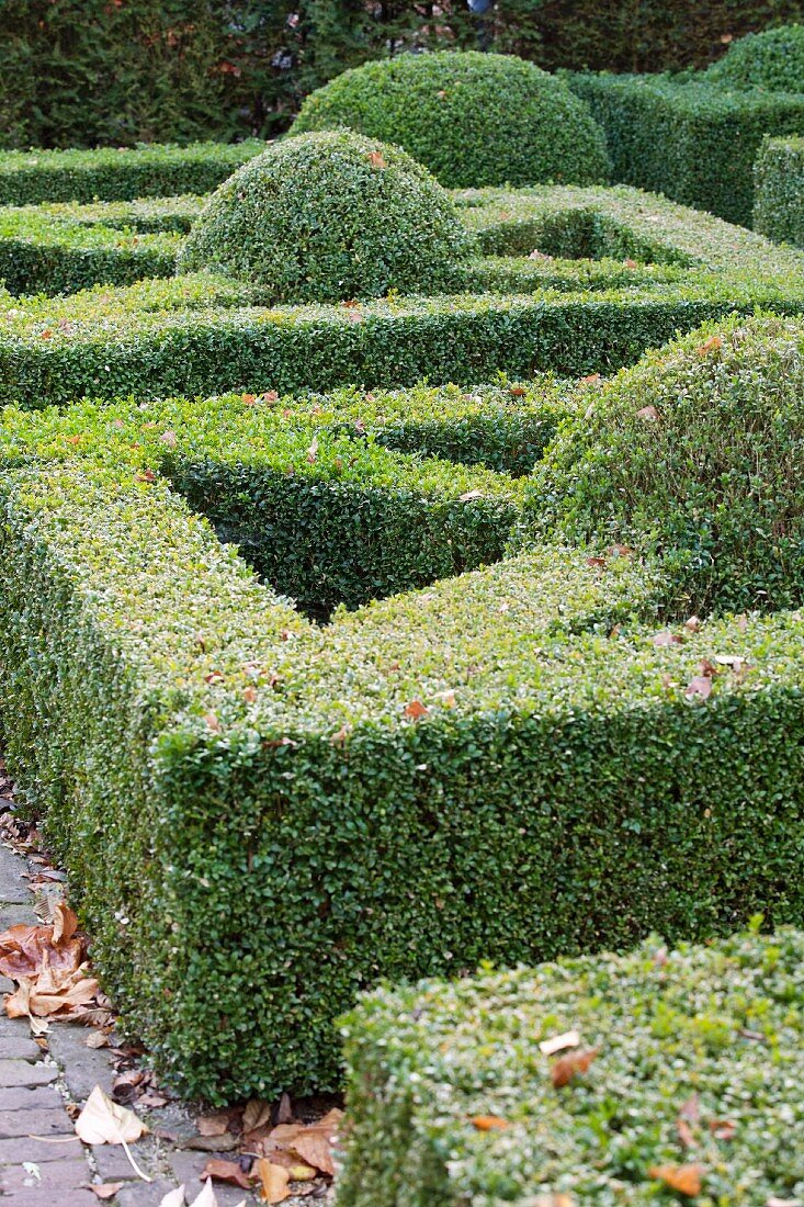 Topiary hedges and bushes in park-like garden