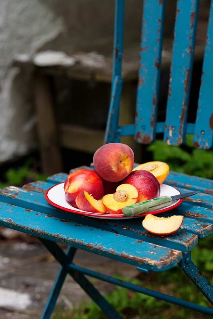 Nektarinen und Pfirsiche auf Teller auf Gartenstuhl