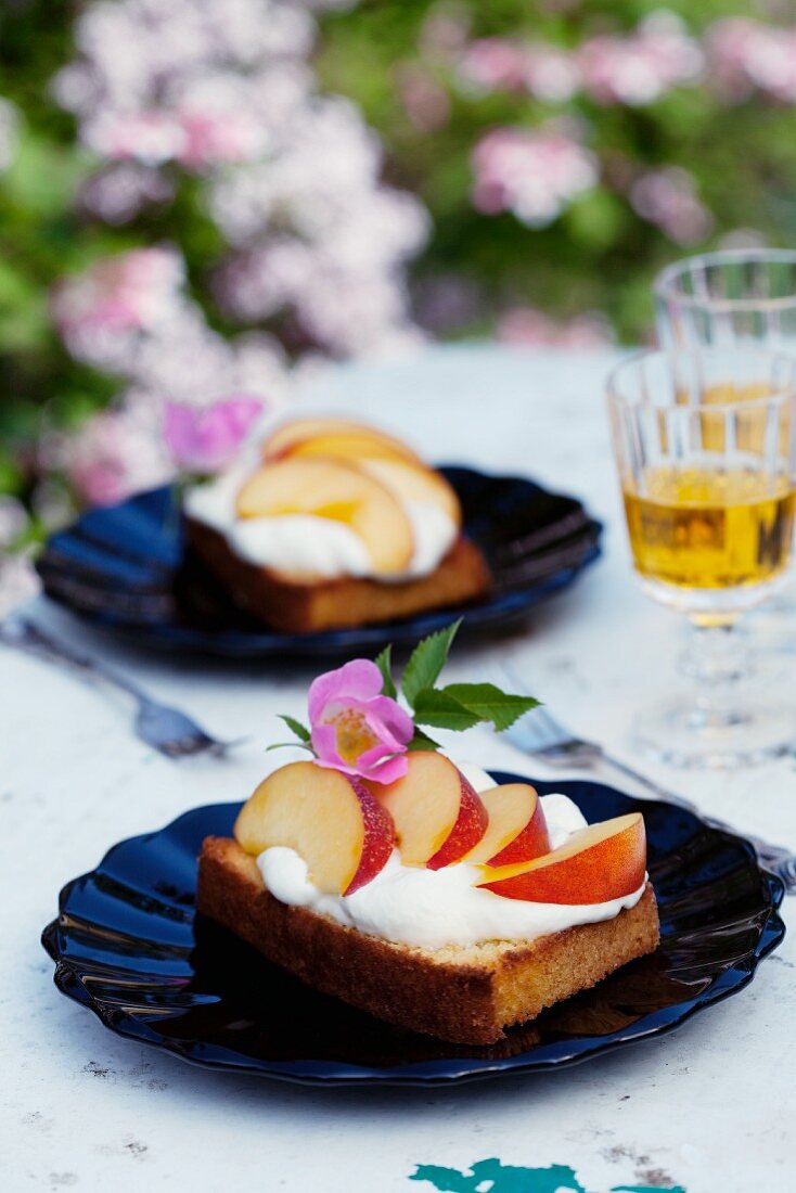 Bruschetta with nectarines