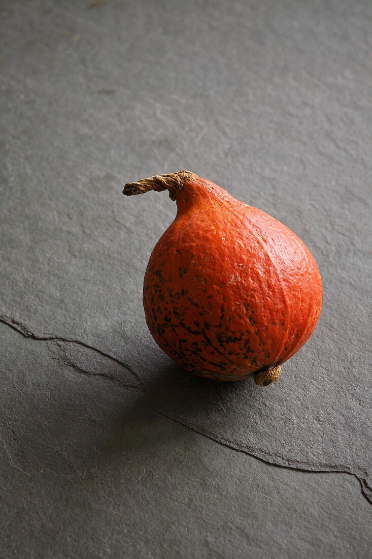 A Hokkaido squash