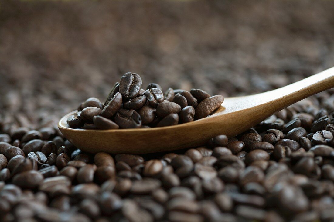 Coffee beans on a wooden spoon