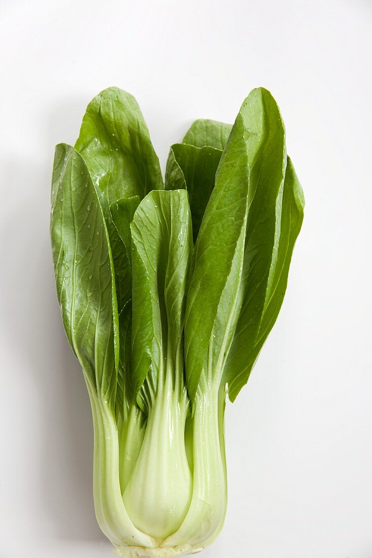 Baby Bok Choy on White Background