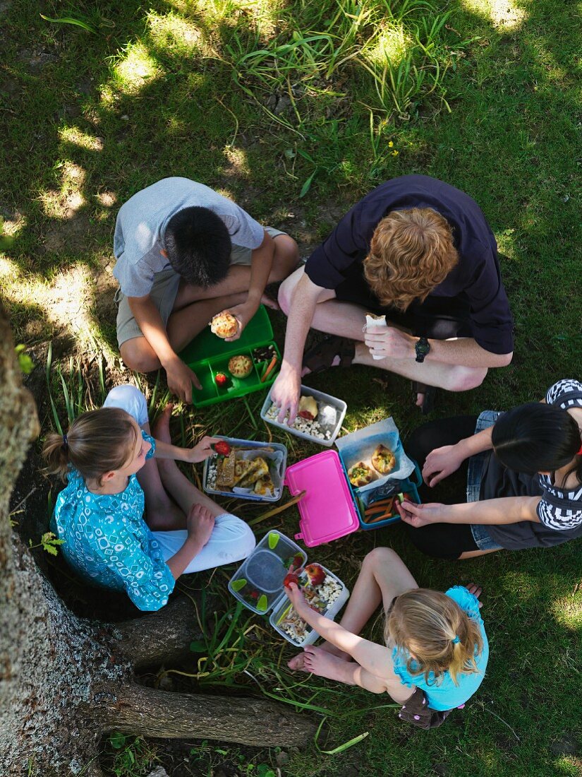 Kinder beim Picknick mit Lunchboxen (Aufsicht)