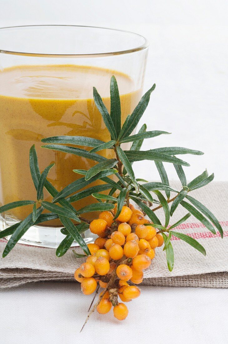 Sea buckthorn branch and juice