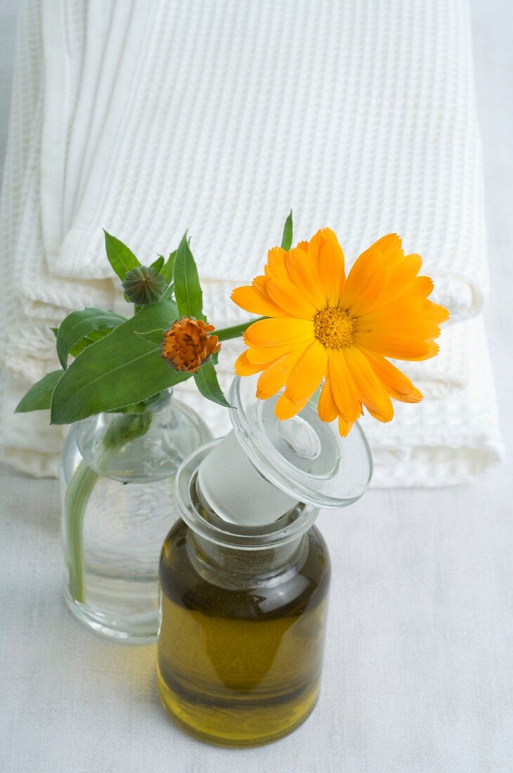 Ringelblumenblüte und Öl in Glasflaschen