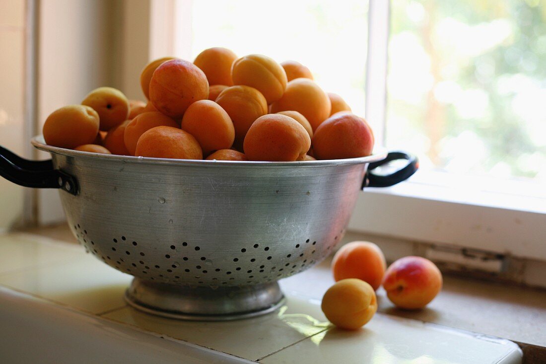 Frische Aprikosen im Küchensieb