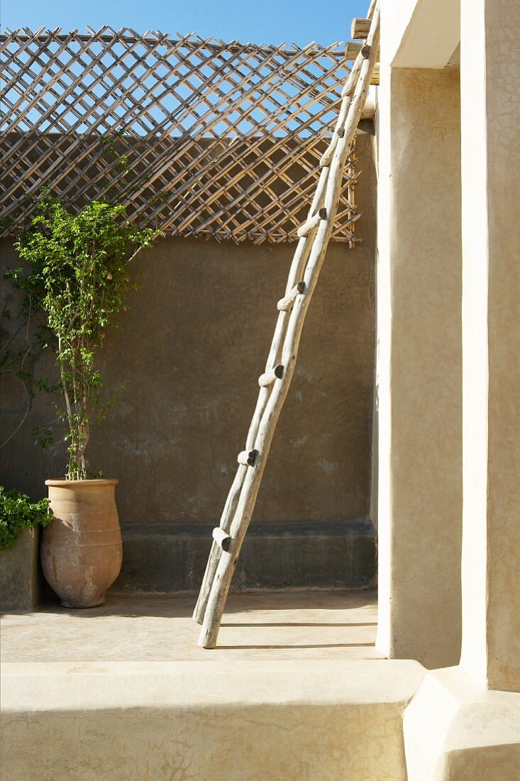 Rustikale Leiter an Wand lehnend und Pflanzentöpfe auf mediterraner Dachterrasse
