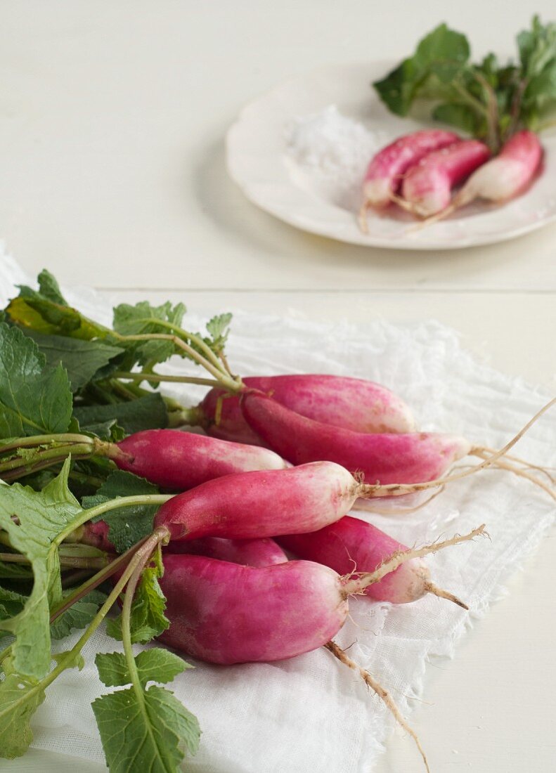 A Bunch of French Breakfast Radishes on a White Cloth