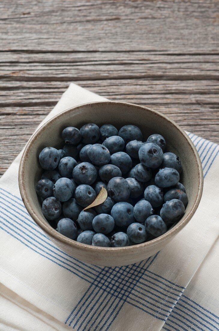 Organic Maine Blueberries in a Gray Ceramic Bowl on a Blue Striped Towel