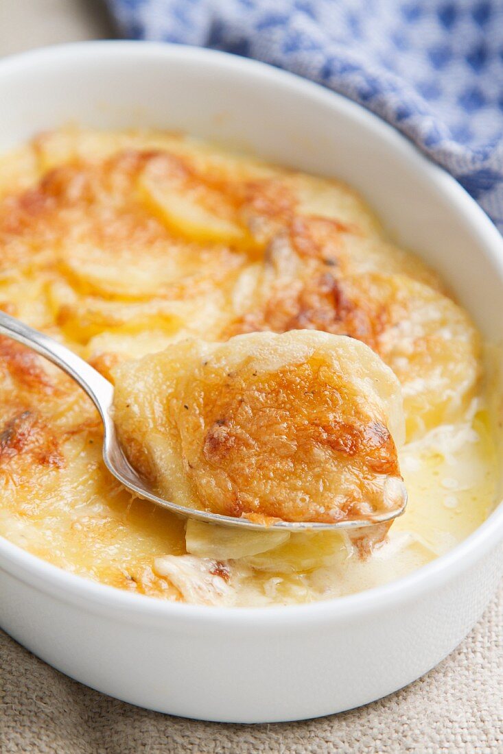 Potato gratin