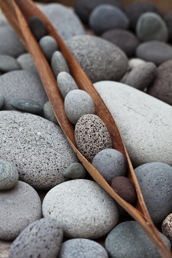 Pebbles in dried leaf