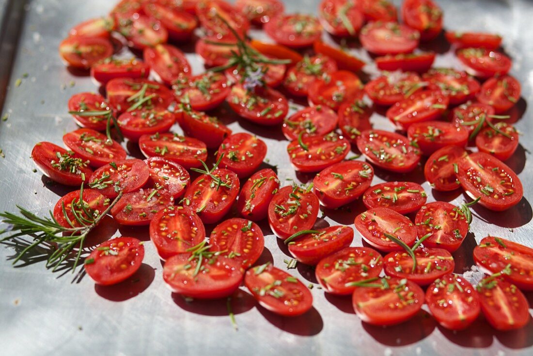 Tomaten mit Rosmarin auf Backblech zum Trocknen ausgelegt