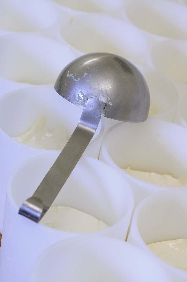 Camembert being made