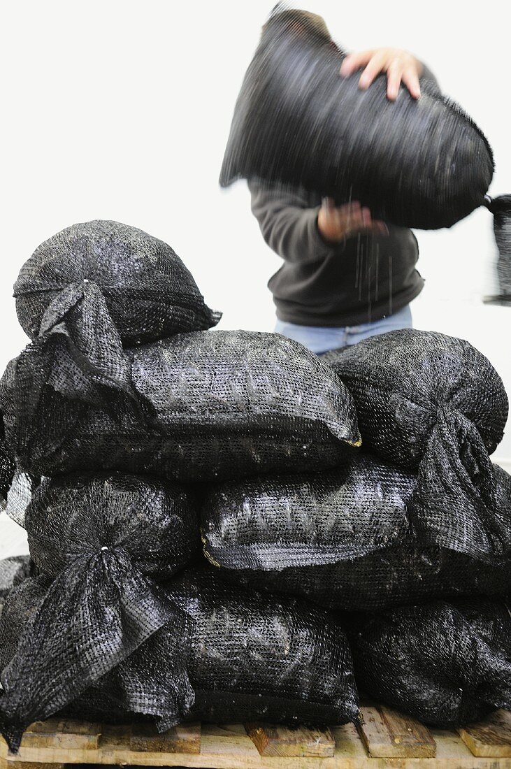 Gestapelte Säcke mit frischem Miesmuscheln aus der Normandie