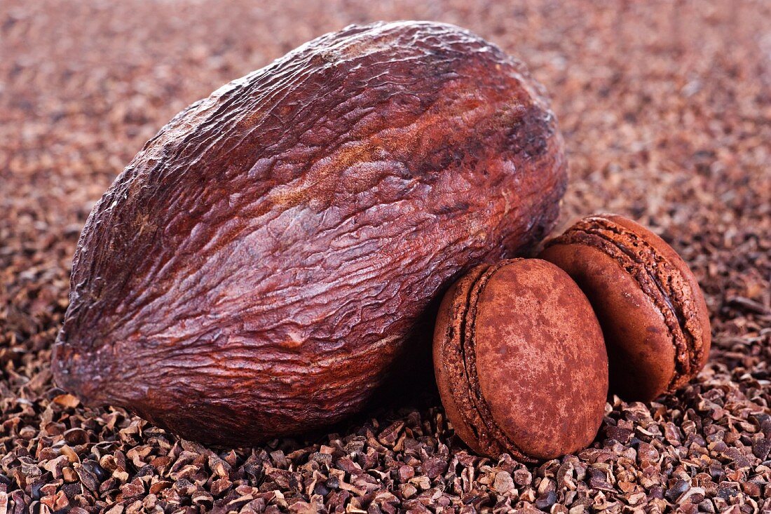 Kakaofrucht und Schokoladenmacarons