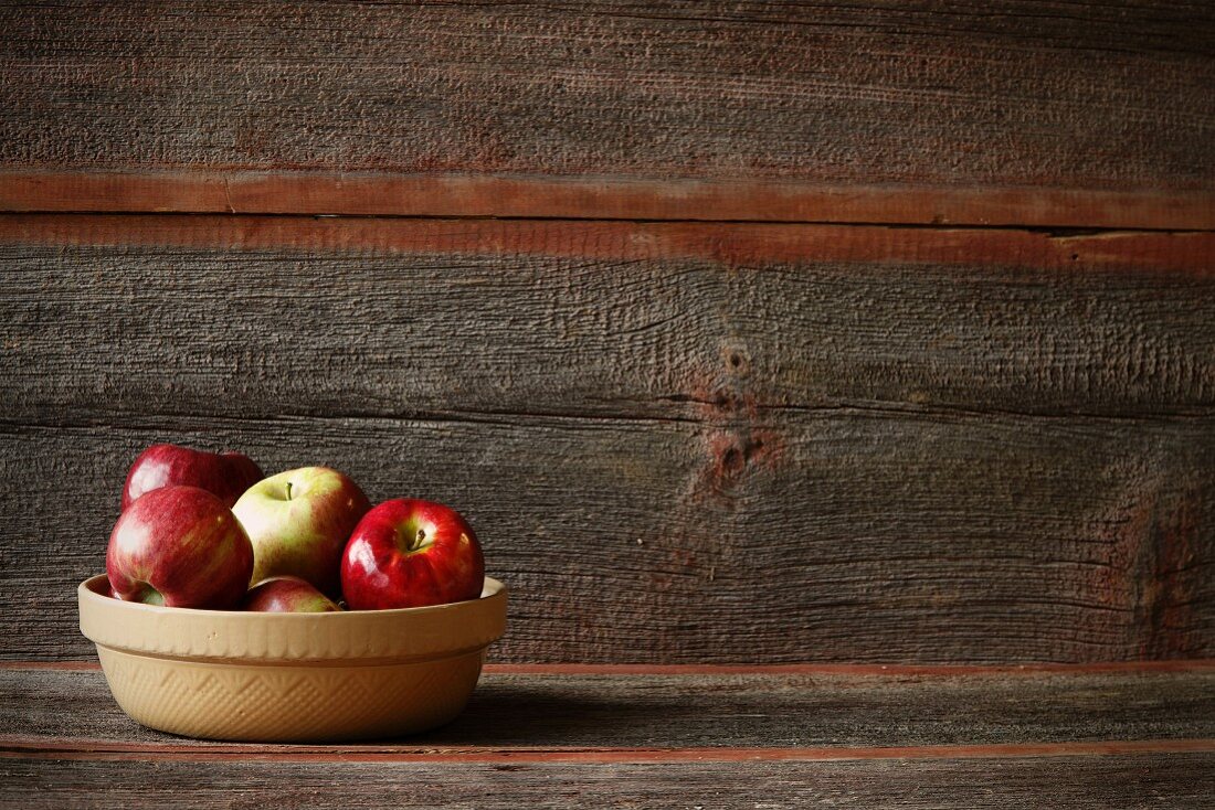 Äpfel in Tonschale vor Holzwand