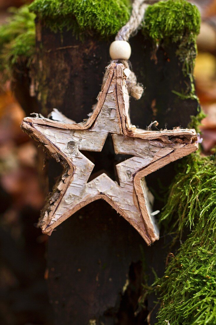 Selbstgebauter Weihnachtsstern im Freien