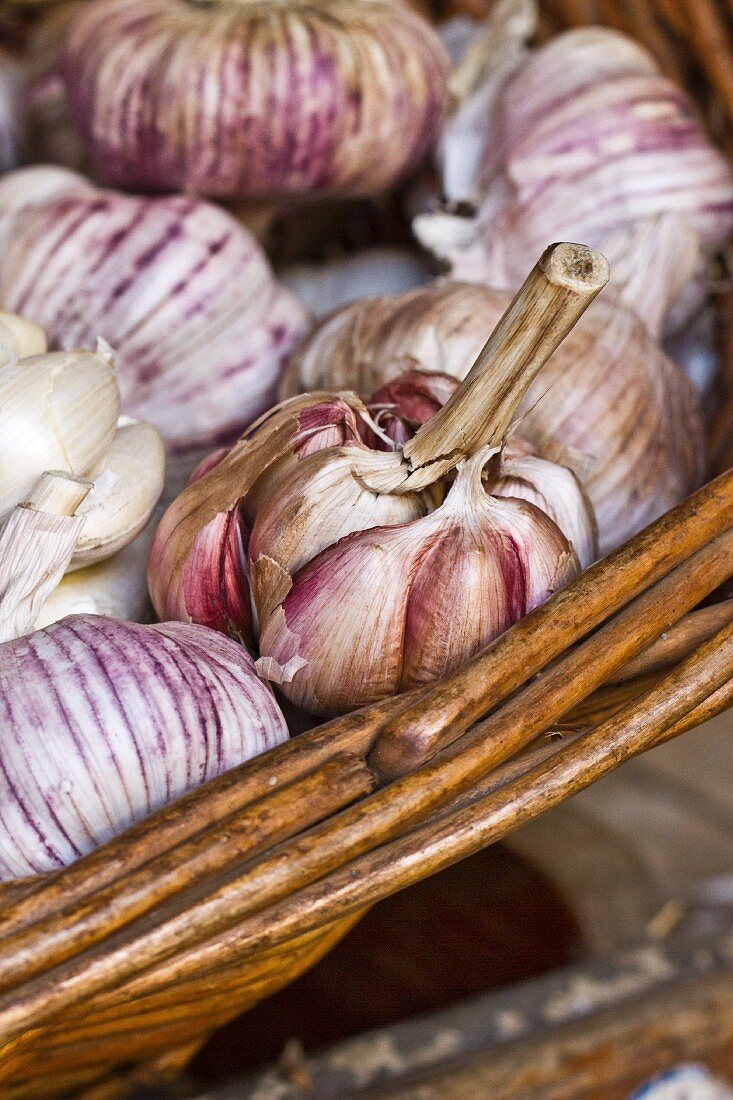 Knoblauchknollen im Korb am Markt (Funchal, Madeira, Portugal)