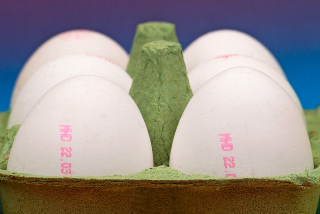 Sechs weiße Eier mit Stempelaufdruck in Eierkarton