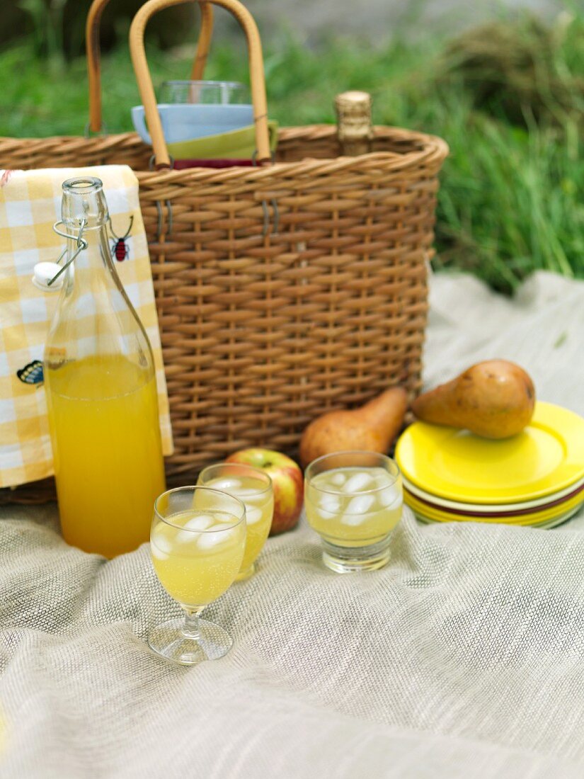 Picknick mit Zitronenlimonade