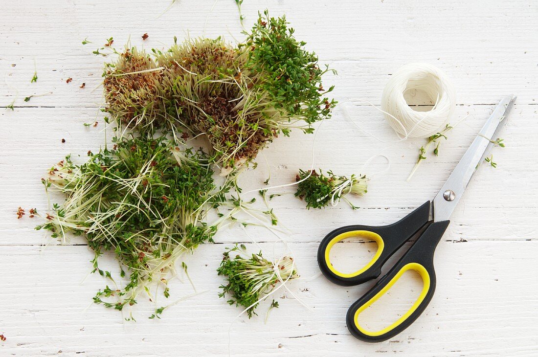 Cress decoration for Easter